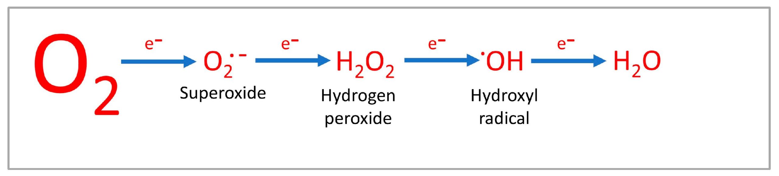 solubility of oxygen and hydrogen in water