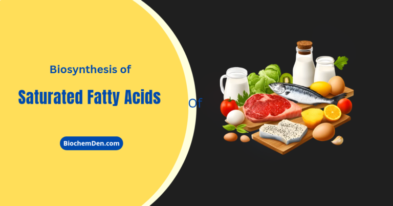 Biosynthesis of Saturated Fatty acids Notes