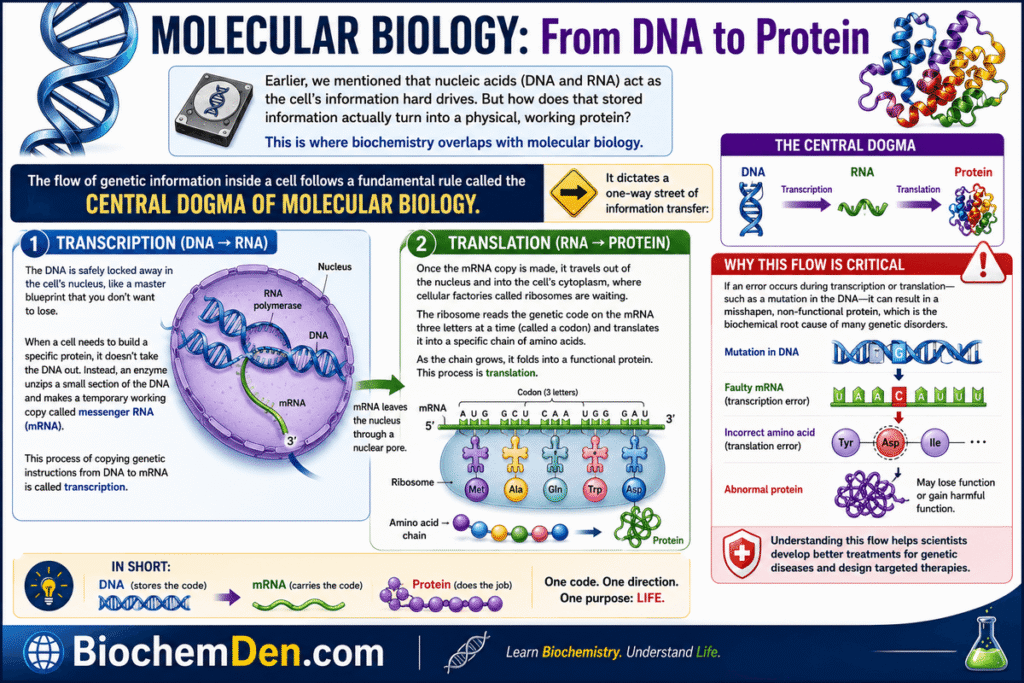 molecular biology