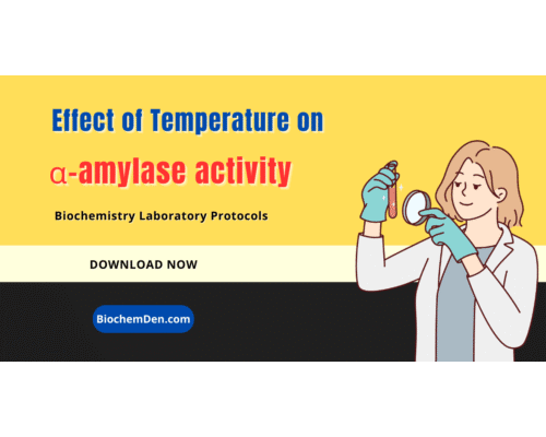 Effect of Temperature on Amylase activity