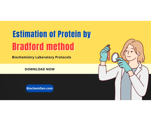 Download Bradford method Protocol