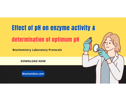 Effect of pH on enzyme activity and determination of optimum pH
