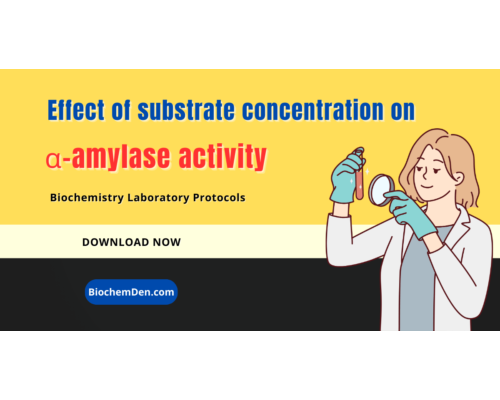 Effect of substrate concentration on alpha amylase activity