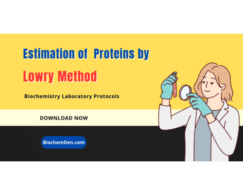 Estimation of Proteins by the Lowry Method