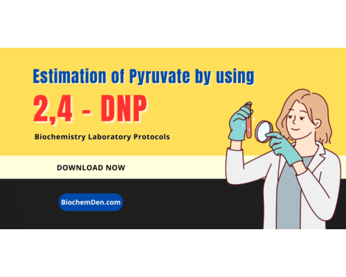 Estimation of Pyruvate by using 2,4 DNP