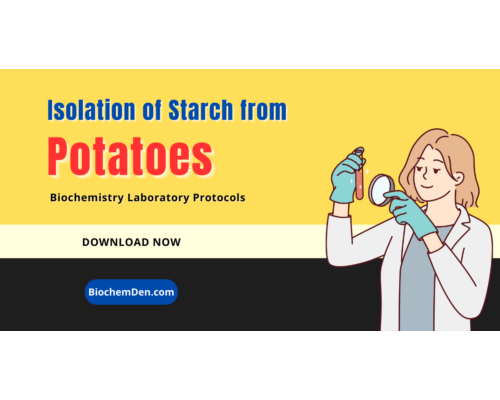 ISOLATION OF STARCH FROM POTATOES