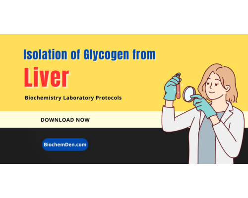 Isolation of Glycogen from Liver