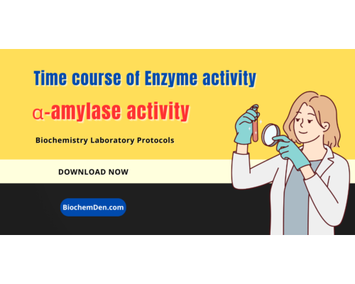 Time course of Enzyme activity (alpha amylase)